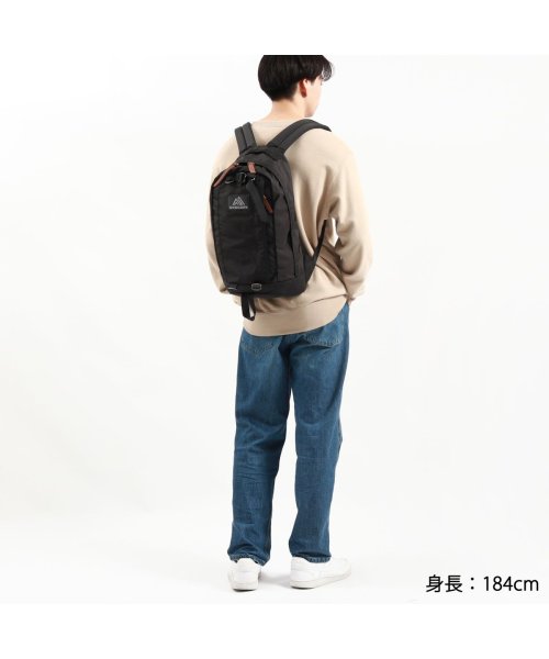 【日本正規品】 グレゴリー リュック メンズ レディース おしゃれ 通学 通勤 GREGORY デイパック バッグ リュックサック ハーフデイ V2 
