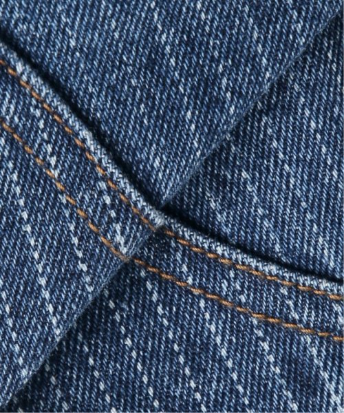 JOURNAL STANDARD relume Men's(ジャーナルスタンダード　レリューム　メンズ)/Relume Jeans ウォバッシュストライプ ダブル二―デニム/img65