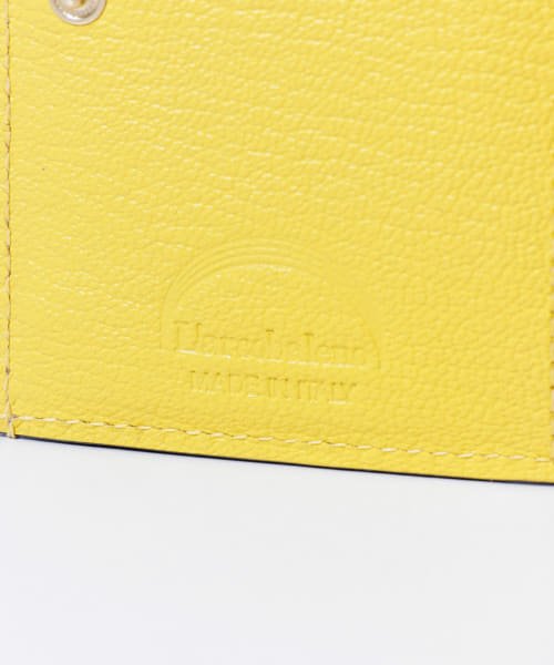 L’arcobaleno　SMART CARD WALLET 