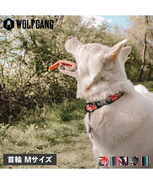 WOLFGANG(ウルフギャング)/ ウルフギャング WOLFGANG 首輪 中型犬用 Mサイズ 首輪犬 カラー COLLAR マン&ビースト MAN&BEAST/img01