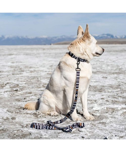 WOLFGANG(ウルフギャング)/ ウルフギャング WOLFGANG 首輪 中型犬用 Mサイズ 首輪犬 カラー COLLAR マン&ビースト MAN&BEAST/img10