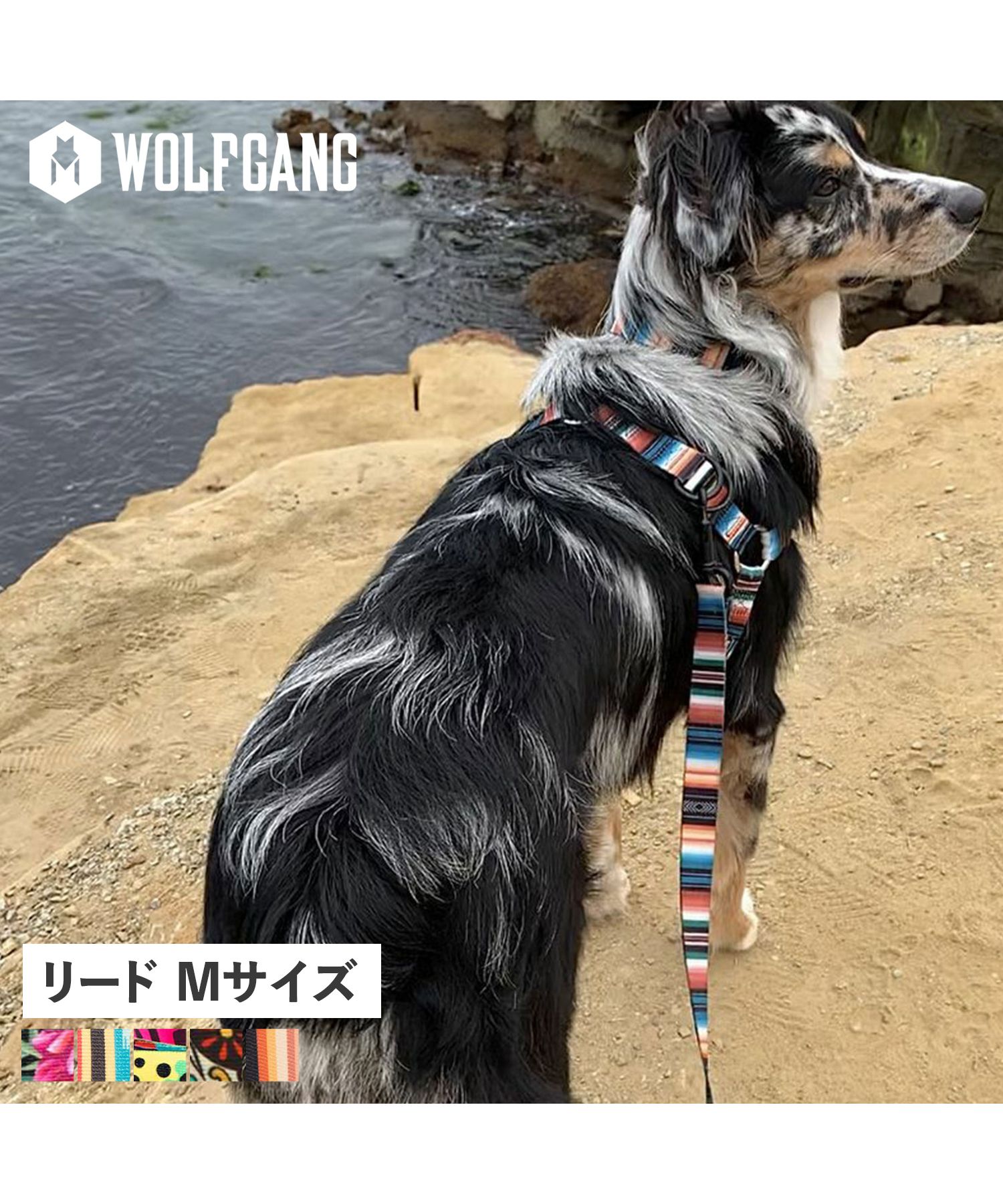 ウルフギャング WOLFGANG リード 中型犬 大型犬用 Mサイズ リーシュ