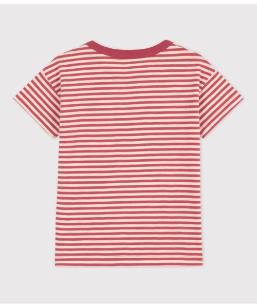 PETIT BATEAU(プチバトー)/スラブジャージボーダー半袖Ｔシャツ/img08