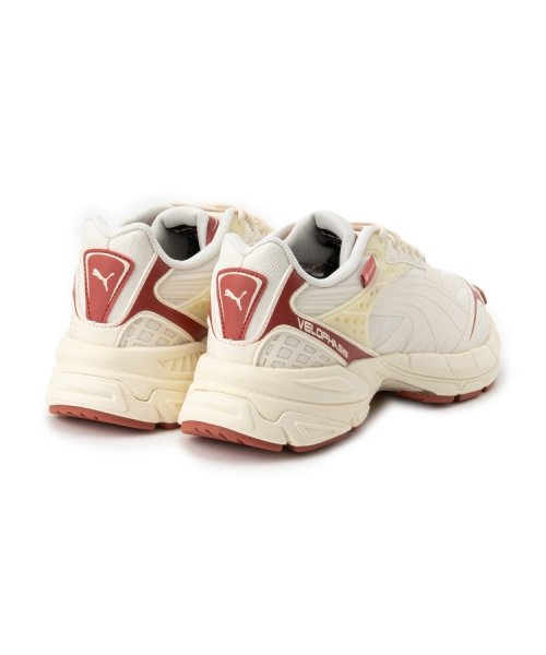 【PUMA】　ユニセックスベロファシス　スニーカー 5cm相当