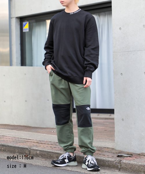 THE NORTH FACE(ザノースフェイス)/【THE NORTH FACE / ザ・ノースフェイス】M TKAGLCR PANT NF0A48KS / フリースパンツ /img01