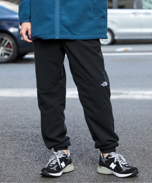 THE NORTH FACE(ザノースフェイス)/【THE NORTH FACE / ザ・ノースフェイス】M TKAGLCR PANT NF0A48KS / フリースパンツ /img12