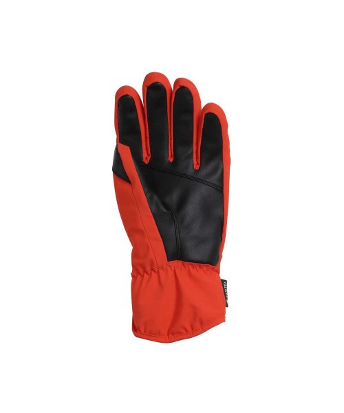 phenix(phenix)/phenix フェニックス Thunderbolt Gloves ACC サンダーボルト グローブ ゴアテックス スキーウェア【MENS】/img03