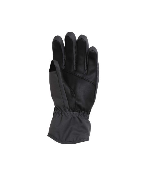 phenix(phenix)/Phenix フェニックス Transcends Shade Gloves ACC トランセンドシェード グローブ 高耐水 スキーウェア【MENS】/img01