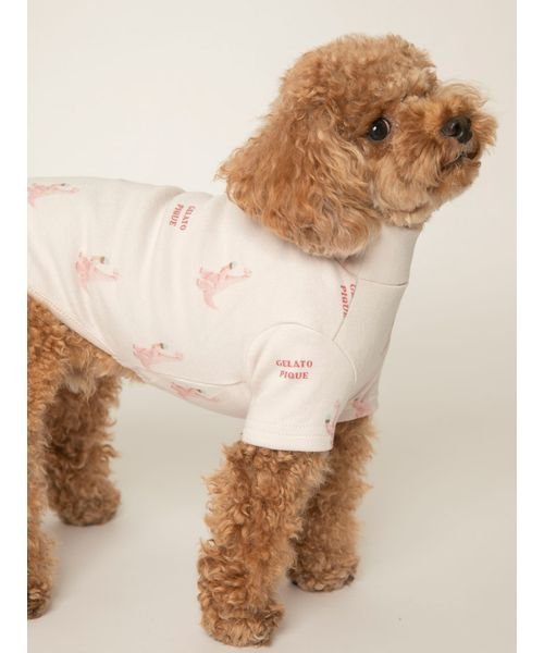 GELATO PIQUE CAT＆DOG(GELATO PIQUE CAT＆DOG)/【CAT&DOG】【販路限定商品】ダイナソー柄プルオーバー/img04