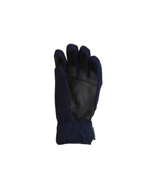 phenix(phenix)/phenix(フェニックス)Space Hunter Gloves GORE－TEX スペース ハンター グローブ ゴアテックス レディース スキー グローブ /img02