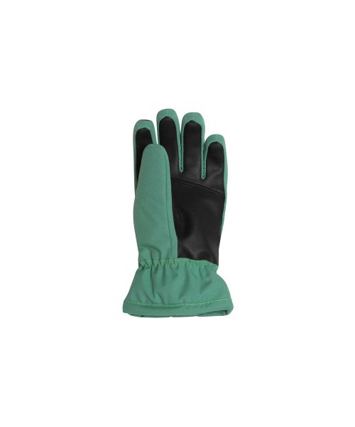 phenix(phenix)/phenix(フェニックス)Spacewalk Gloves スペースウォーク グローブ レディース スキー 手袋 5本指【WOMENS】/img01
