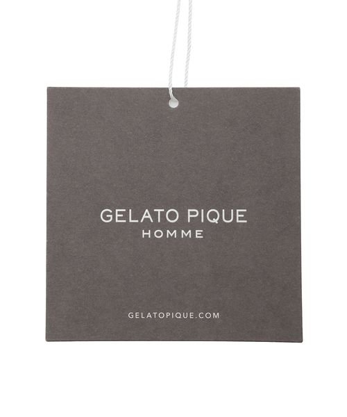 GELATO PIQUE HOMME(GELATO PIQUE HOMME)/【HOMME】パウダートリムボーダールームシューズ/img07