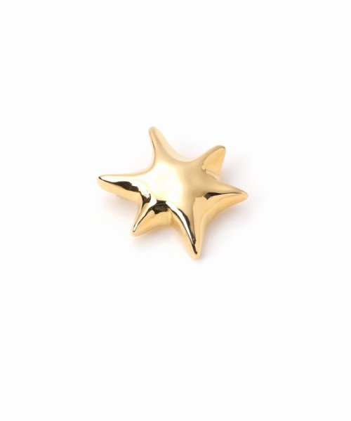 JOURNAL STANDARD(ジャーナルスタンダード)/別注【MAISON DPULSE/メゾンドパルス】STAR BROOCH ：ブローチ/img01