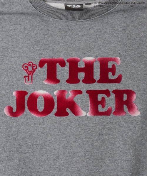 JOURNAL STANDARD relume Men's(ジャーナルスタンダード　レリューム　メンズ)/【THE JOKER / ジョーカー】別注 フロッキープリント クルーネックスウェット/img55