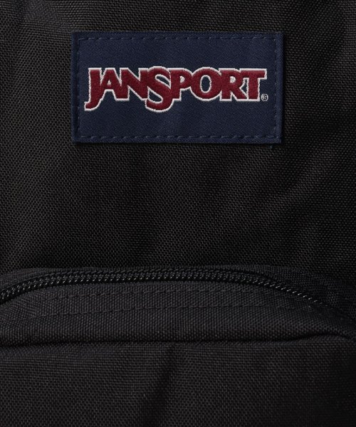 JANSPORT(ジャンスポーツ)/ジャンスポーツ JS00TDH6 バックパック リュッハーフパイント ミニ/img04