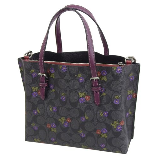 COACH(コーチ)/COACH コーチ MOLLIE TOTE 25 COUNTRY FLORAL PRINT モリー トート バッグ カントリー フローラル プリント シグネチャ/img03
