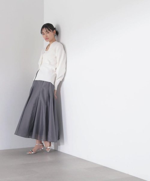 NATURAL BEAUTY BASIC(ナチュラルビューティーベーシック)/シャイニーシアーボイルスカート　24SS/img24