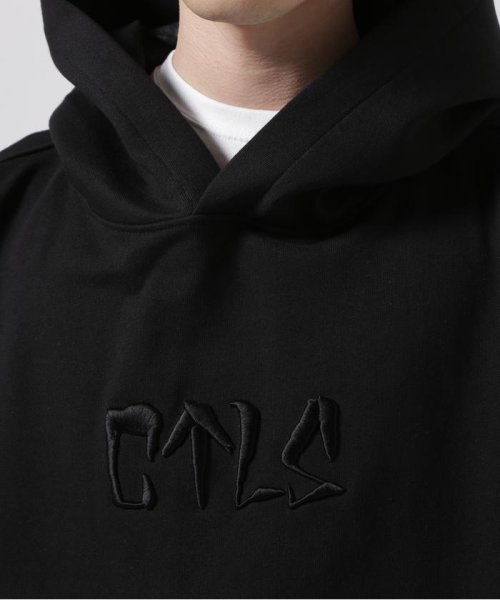 RoyalFlash(ロイヤルフラッシュ)/CTLS/シーティーエルエス/usual hoodie BLK×BLK/img03