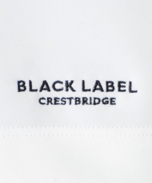 BLACK LABEL CRESTBRIDGE(BLACK LABEL CRESTBRIDGE)/スリーブチェックストレッチカットソー/img04