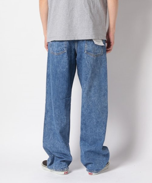 TOMMY JEANS(トミージーンズ)/AIDEN BAGGY JEAN CG4036/img02
