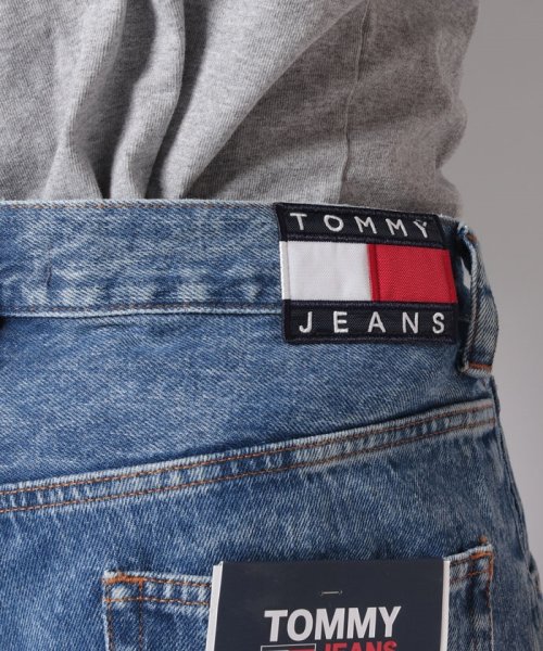 TOMMY JEANS(トミージーンズ)/AIDEN BAGGY JEAN CG4036/img05