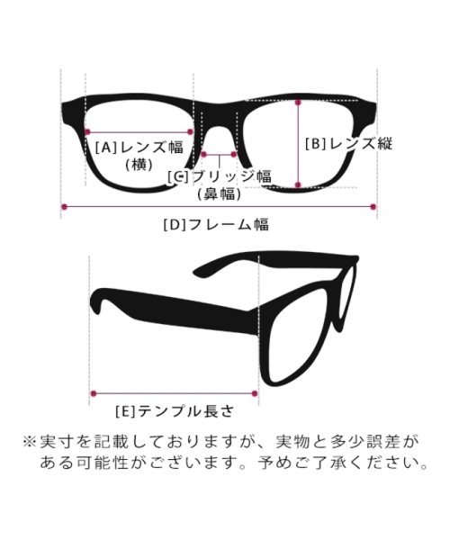 Polaroid(ポラロイド)/ポラロイド メガネフレーム 眼鏡フレーム グローバルフィット ブラック ゴールド メンズ POLAROID D509G I46/img08