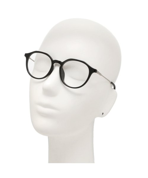 Polaroid(ポラロイド)/ポラロイド メガネフレーム 眼鏡フレーム グローバルフィット ブラック シルバー メンズ レディース ユニセックス POLAROID D510G 807/img05