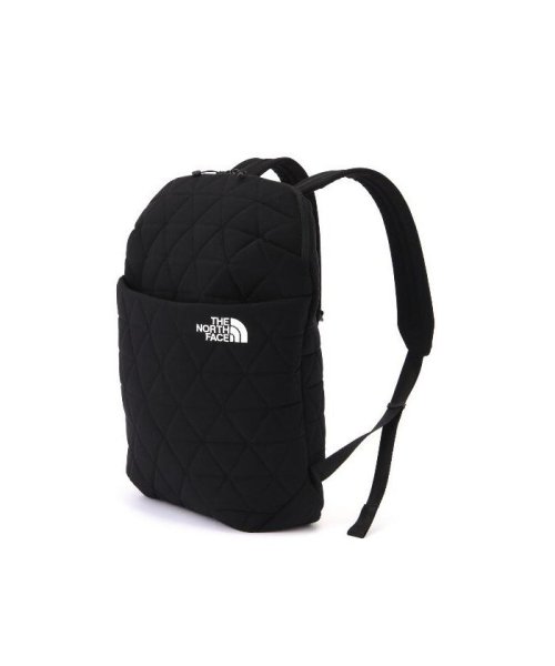 BEAVER(ビーバー)/THE NORTH FACE/ザ・ノースフェイス　 Geoface Slim Pack/img13