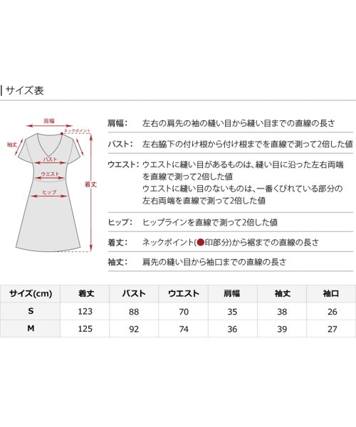 シャツ襟刺繍Aラインドレス 二次会 食事会 セレモニー 発表会
