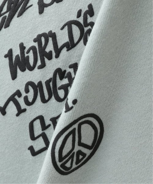 B.C STOCK(ベーセーストック)/【BEN DAVIS / ベンデイビス】 logo motif long sleeve/img20
