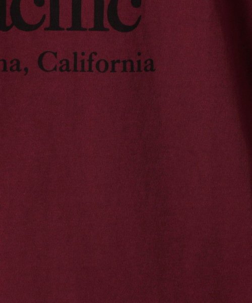 Grand PARK(グランドパーク)/Collegiate Pacific(カレッジエイト パシフィック)フットボールＴシャツ/img11