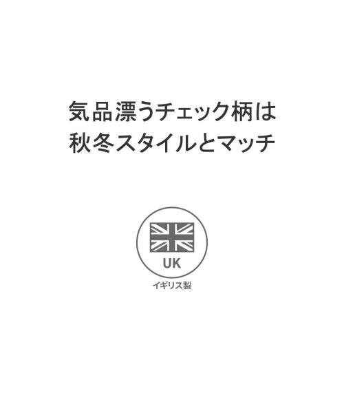 W.J.HENDERSON(ダブリュー ジェイ ヘンダーソン)/ダブルジェイヘンダーソン スコットランド マフラー チェック W.J.HENDERSON SCOTLAND イギリス製 WOVEN SCARF WJHA－02/img03