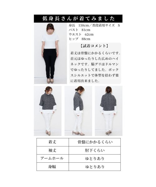 Sawa a la mode(サワアラモード)/レディース 大人 上品 重ね着が楽しくなるレイヤードトップス/img36