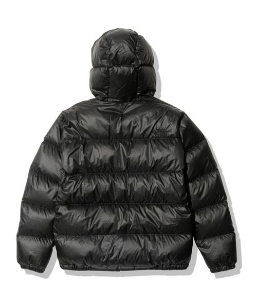 THE NORTH FACE(ザノースフェイス)/GTX Serow Magne Triclimate Jacket (GTX セローマグネトリクライメイトジャケット)/img05