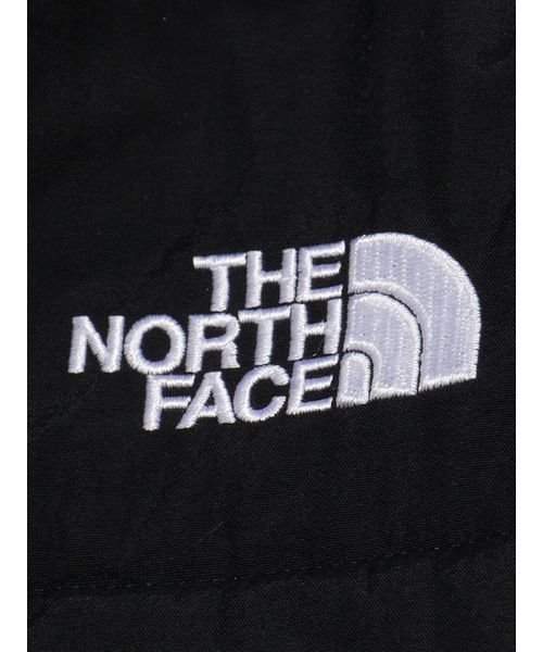 THE NORTH FACE(ザノースフェイス)/Denali Hoodie (デナリフーディ)/img10