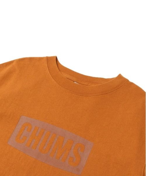 CHUMS(チャムス)/Heavy Weight CHUMS Logo Dress (ヘビーウェイト　チャムス　ロゴ　ドレス)/img02