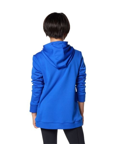 UNDER ARMOUR(アンダーアーマー)/UA ARMOUR FLEECE IRIDESCENT  HOODIE/img02