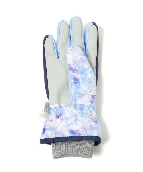 Alpine DESIGN(アルパインデザイン)/JUNIOR GL SKI GLOVE/img03