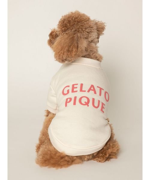 GELATO PIQUE CAT＆DOG(GELATO PIQUE CAT＆DOG)/【CAT&DOG】【販路限定商品】裏毛プルオーバー/img01