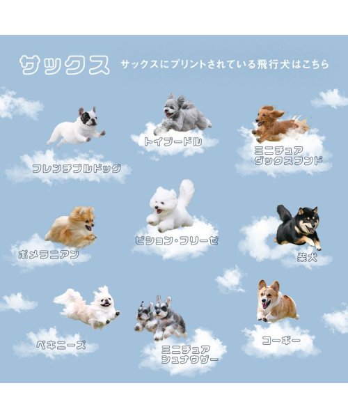 Wpc．(Wpc．)/【Wpc.公式】日傘 飛行犬(R)×Wpc. 空飛ぶ遮光ワンブレラ ミニ 完全遮光 遮熱 晴雨兼用 レディース 折り畳み傘 母の日 母の日ギフト プレゼント/img12