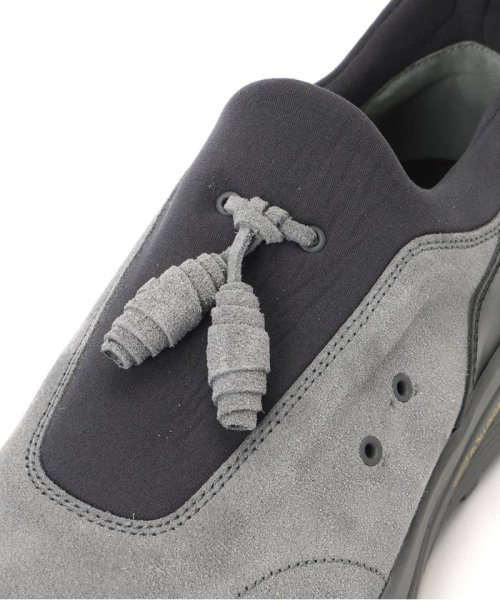 Hender Scheme/エンダースキーマ/species Hender また