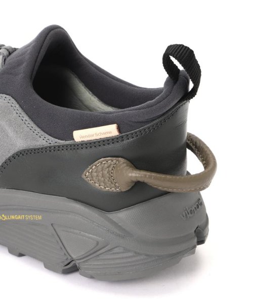 Hender Scheme/エンダースキーマ/species Hender また