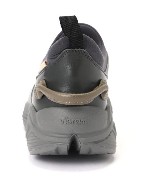 Hender Scheme/エンダースキーマ/species Hender また