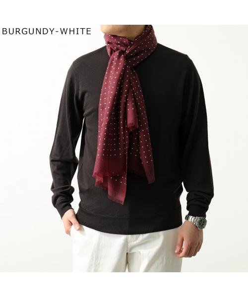 BEGG&CO(ベグアンドコー)/BEGG&CO ストール WISPY HANOVER スカーフ ドット/img03