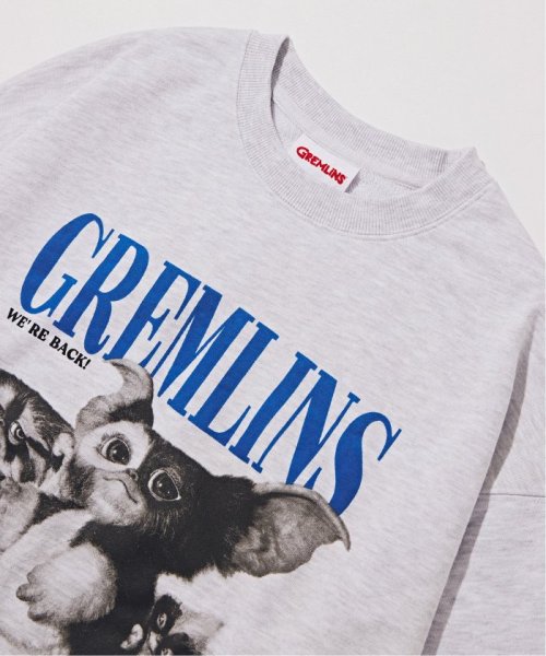 B.C STOCK(ベーセーストック)/【GREMLINS / グレムリン】別注 モノトーンプリントスウェット/img05