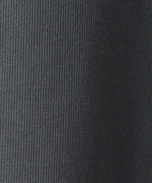 ＜CGS.＞ オーガニック スウェット パーカー General Store B90 W77 H91