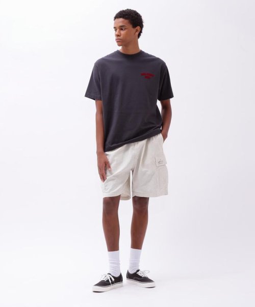 AVIREX(AVIREX)/SUCKER STRIPE VACATION CARGO SHORTS/img03