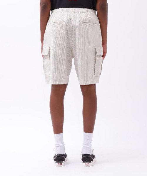 AVIREX(AVIREX)/SUCKER STRIPE VACATION CARGO SHORTS/img05