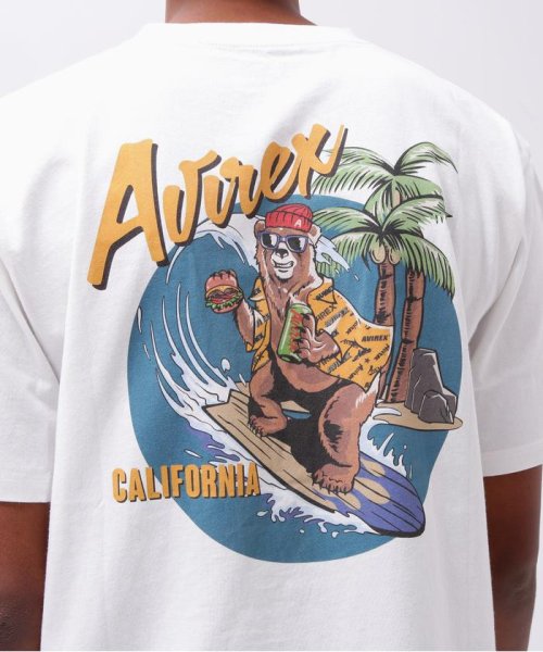 AVIREX(AVIREX)/《WEB&DEPOT限定》SURFING BEAR T－SHIRT / サーフィン ベア Tシャツ / AVIREX / アヴィレックス/img14