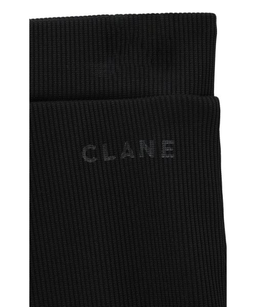 CLANE(クラネ)/AMERICAN SLEEVE SEPARATE SWIMWEAR/img24